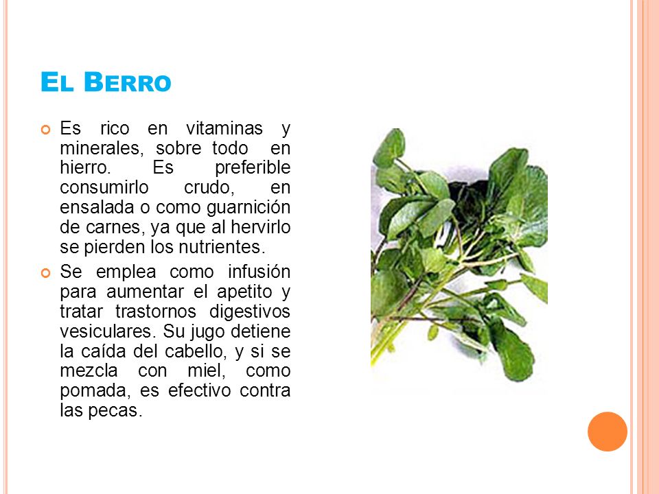 plantas medicinales para controlar el apetito plantas medicinales para controlar el apetito